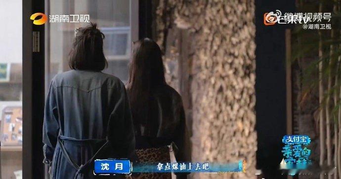 秦岚沈月徐志胜又争又抢职场内卷走入客栈！哈哈哈哈 三个人为了在主理人面前表现自己