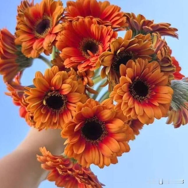 美好的一天开始了！
给别人快乐的人，
一定很善良；
给自己快乐的人，
一定很聪明