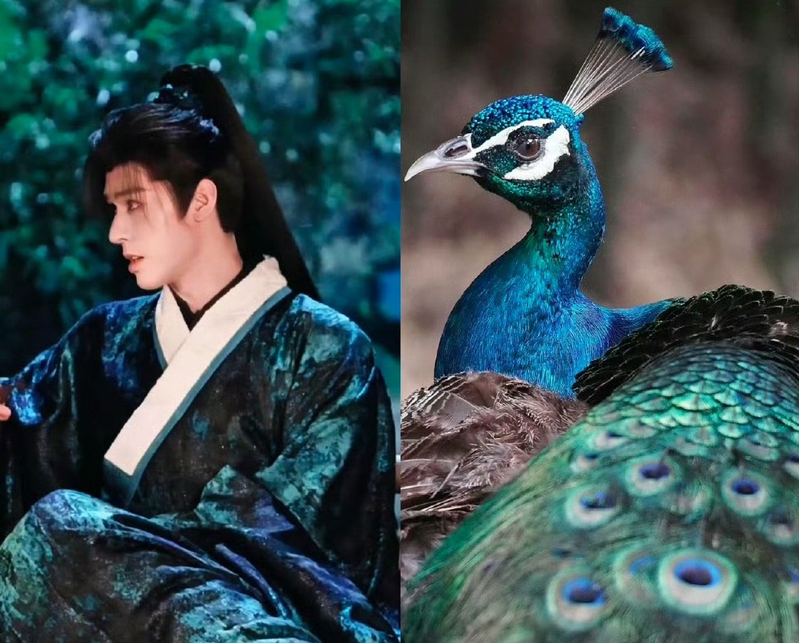 龚俊这造型是灵感来源于孔雀吗？ 