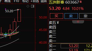 在机器人产业链主题投资中，五洲新春603667作为具备高辨识度的行业前排标的，其