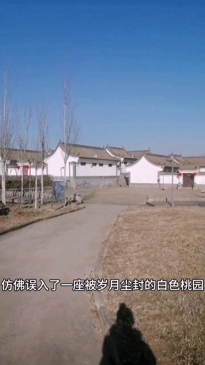 大家好，我是小刘。踏入大同市石头村，仿佛误入了一座被岁月尘封的白色桃园。这里的房