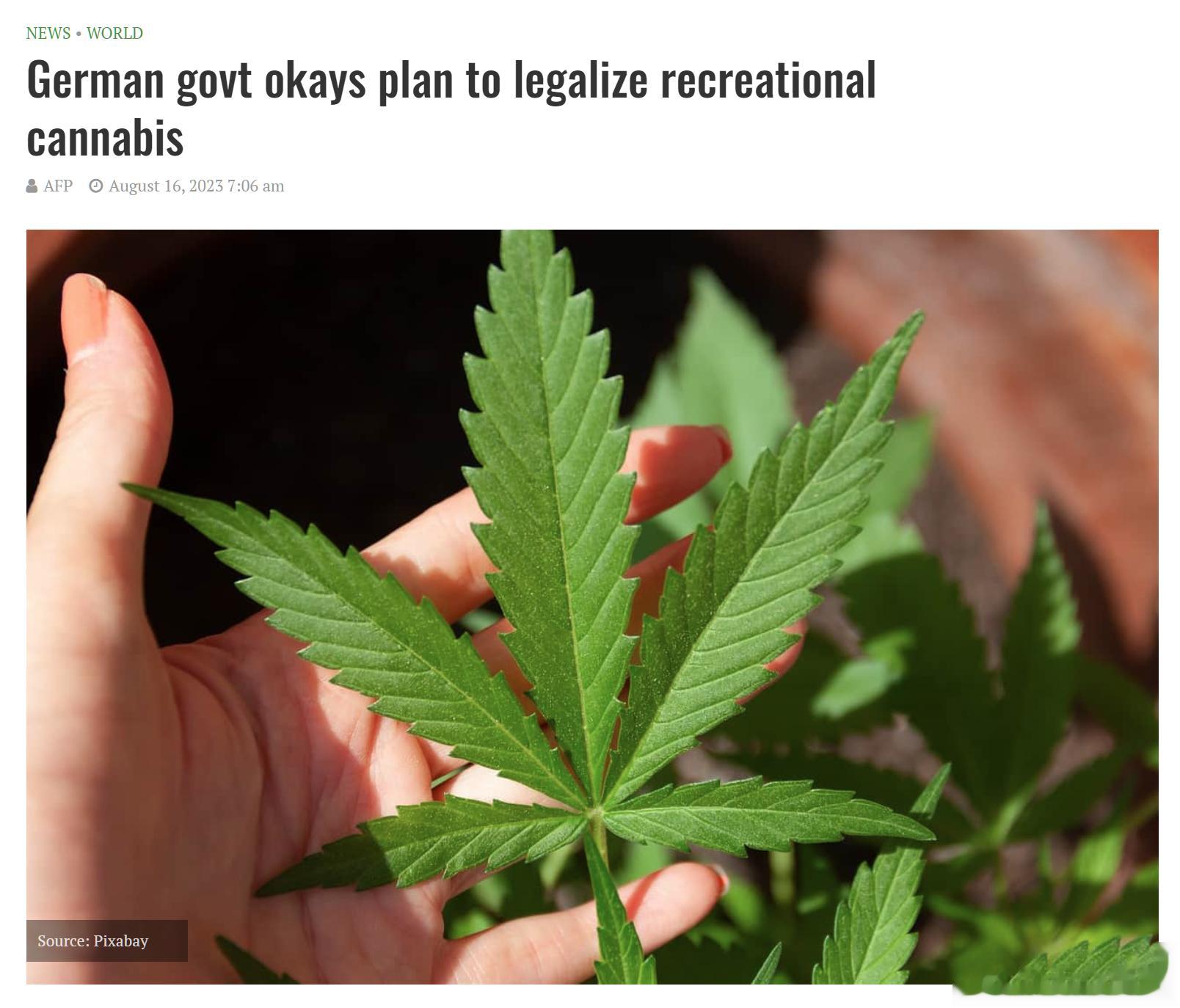 德国政府计划将“娱乐性大麻”合法化。尽管受到反对派政治家和法官的批评，德国政府还