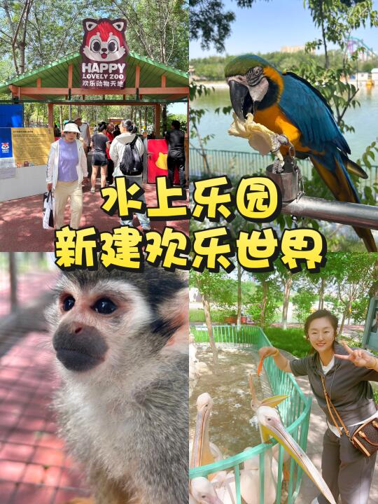 水上乐园欢乐世界4园通玩攻略包含动物园哦