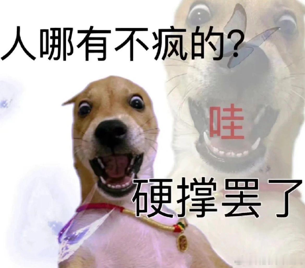 A股 科技股现在不上班不行了，每天一开账户就是扣钱，本来想一点点解出来，结果越套