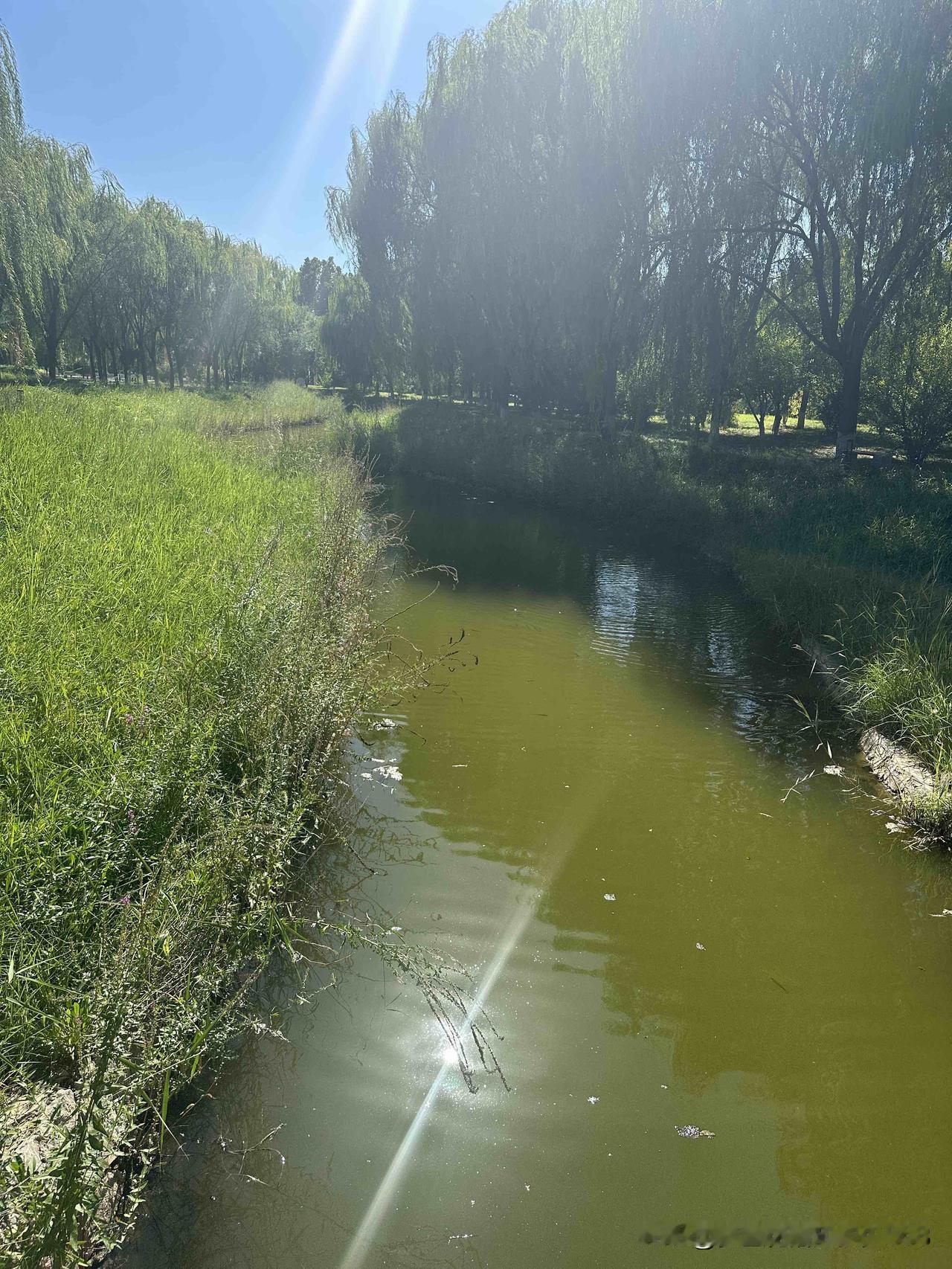 其实生活中会遇到各种各样的问题，但是，真让我打卡这个话题，我一时又想不起来了。