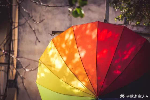 种自己的树·默斋主人原创自由诗我跑过很多春天没有一朵花，是被追赶开的那些日子我攥