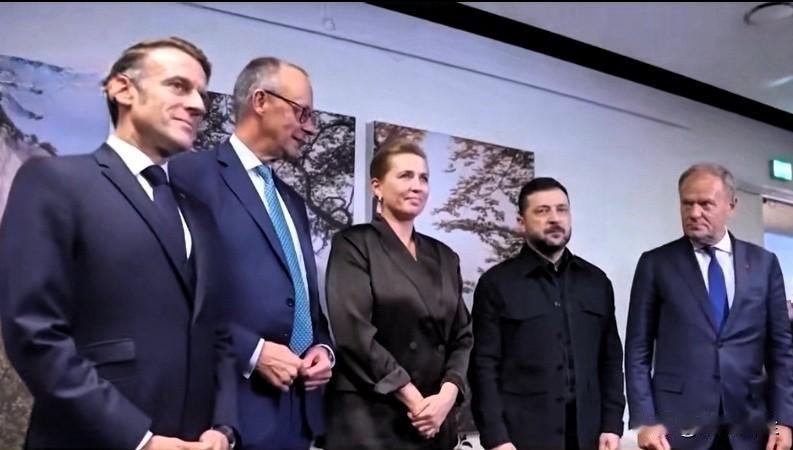 爱沙尼亚、立陶宛、拉脱维亚、波兰、芬兰、瑞典和爱尔兰7国致函欧盟委员会主席冯德莱