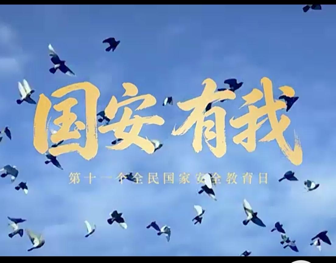 陌生网友出高价让我拍“风景”，我反手拨了12339



陌生网友突然给你转账，