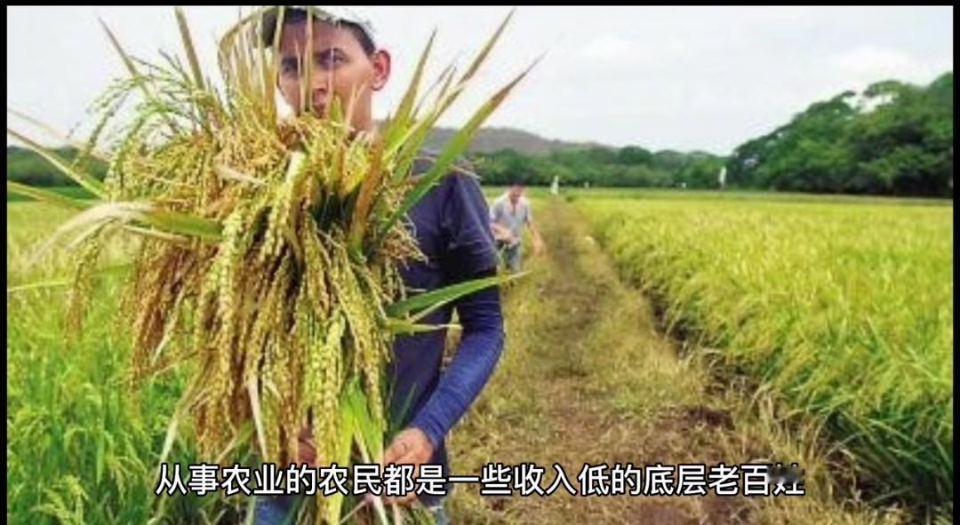 美豆价格震荡加剧！进口价1.75元/斤起，期货冲高后遇阻回落
 
近期美国大豆市