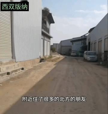 云南西双版纳，一位版纳本地餐饮老板找到了东北人被黑的原因。
有版纳本地顾客提前预