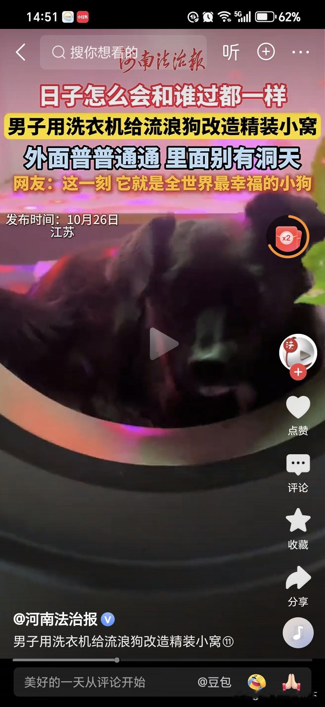 网友，收养了一条流浪狗
把报废的滚筒洗衣机改装成小狗卧室
有床有木地板，有灯光，
