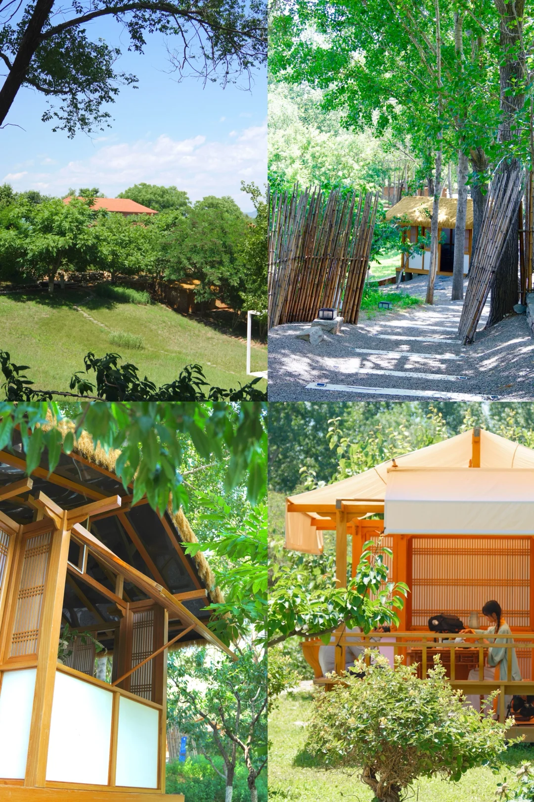 藏不住了，京郊又发现一个免费宝藏山景园🌿