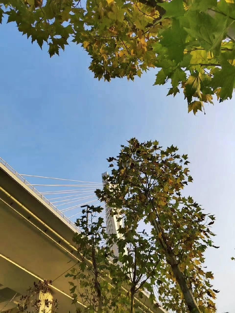 人很难彻底读懂另一个人，无法相知便难以相伴，与其勉强磨合互相消耗，独身反而能免去