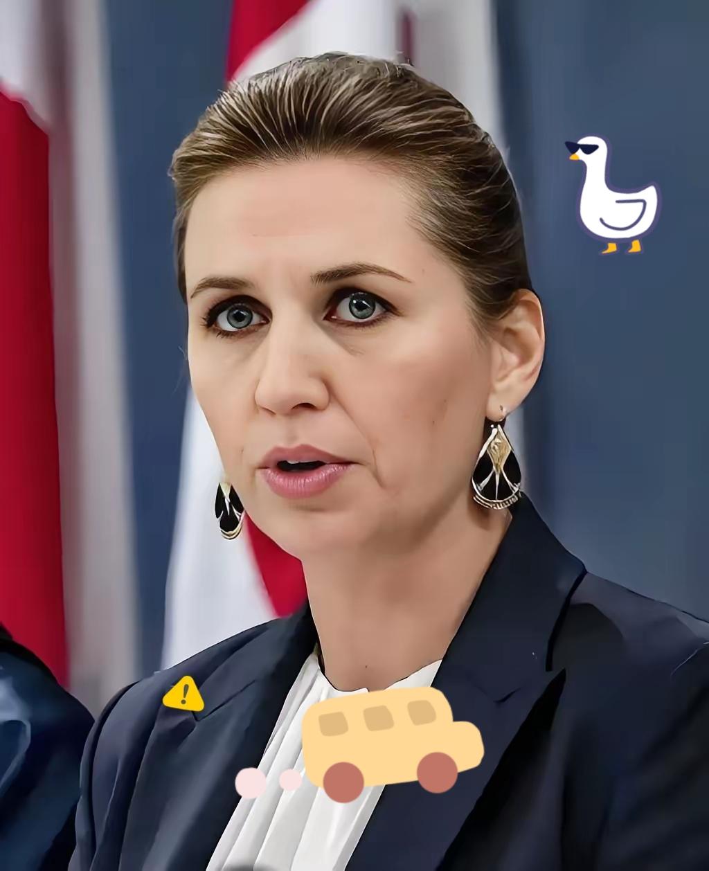 快讯！
丹麦宣布了

2025年11月15日，欧盟轮值主席国丹麦刚官宣：8.3亿