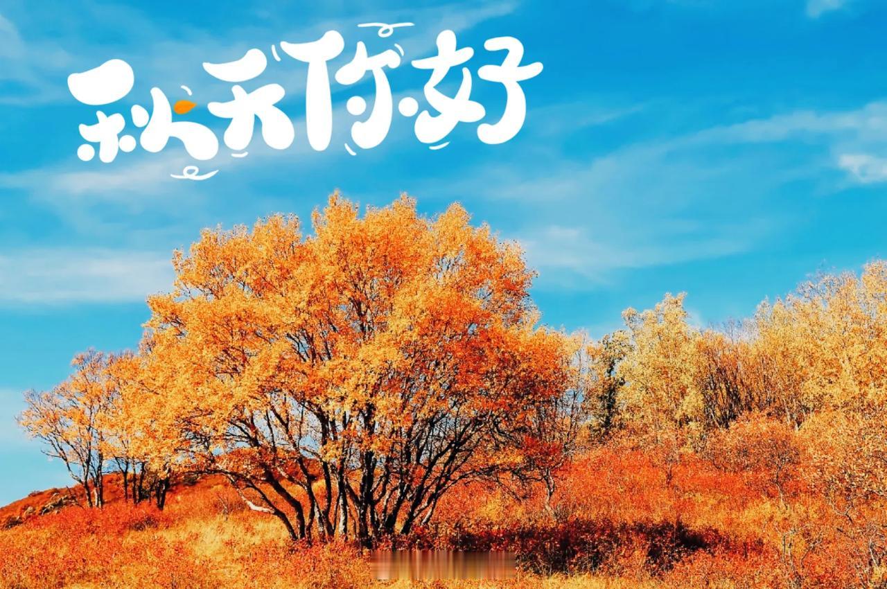 #秋天色彩大赏# #可以分享一张秋景树叶的照片吗#