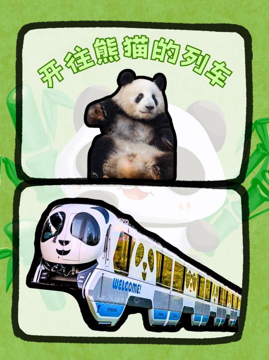 🐼超萌来袭！重庆熊猫单轨列车带你游山城