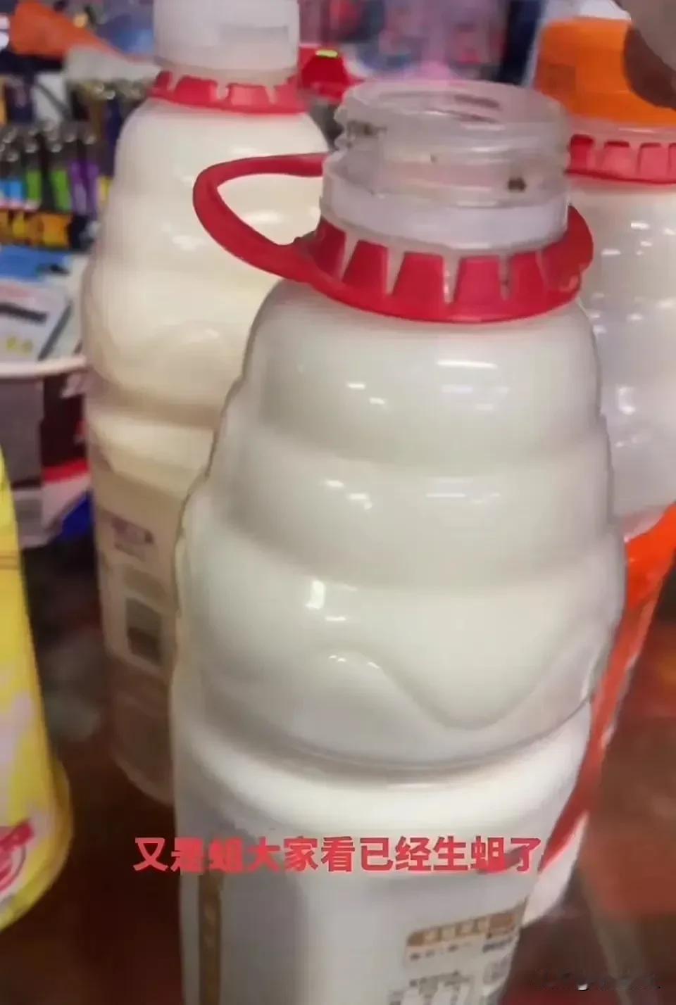 震惊！营养快线里发现蛆！
消息传来，我第一反应这不胡扯吗？再一看，不但有蛆，还不