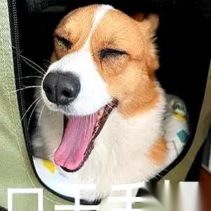 我小区的保安、保洁阿姨，还有楼下棋牌室里那帮退休大爷，全是我“编外”的中介。
你