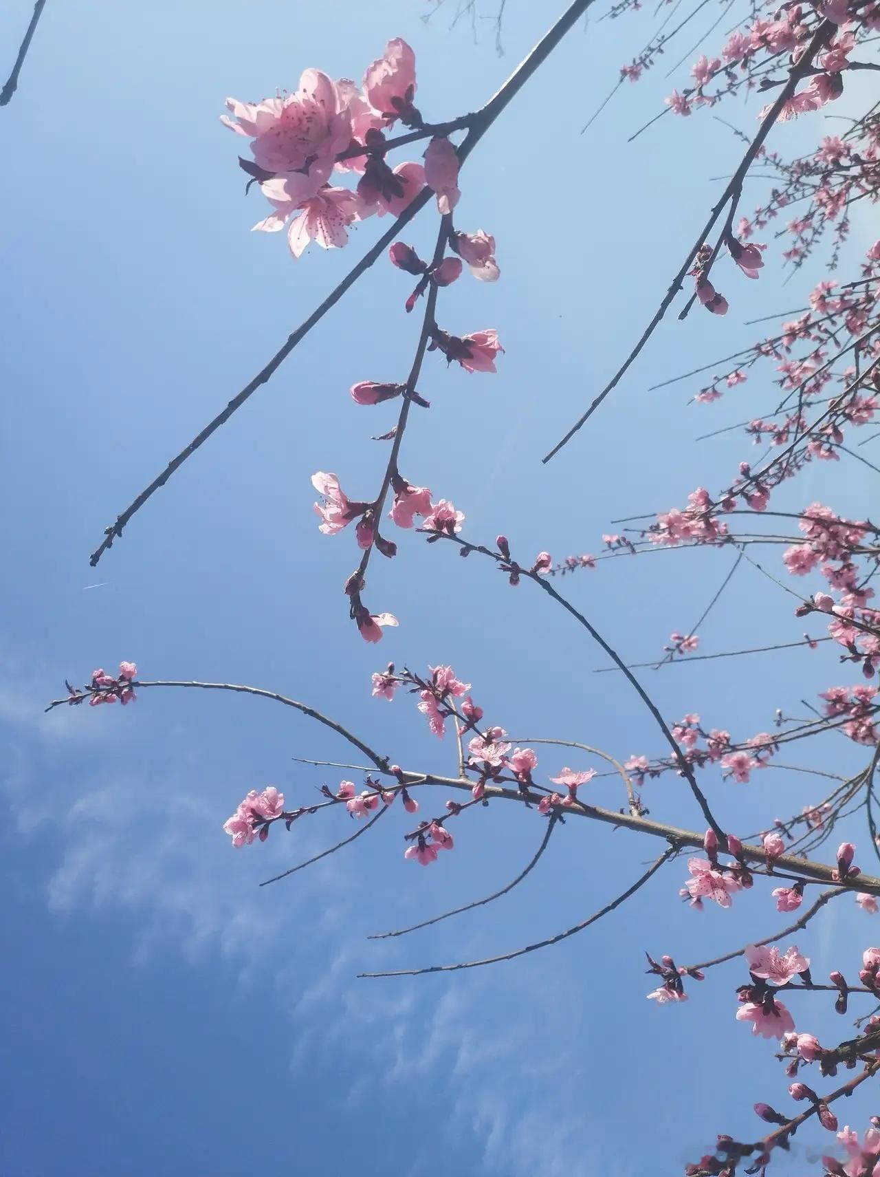 A股调整到4080点，尾盘很明显，下周一，4月27日，很可能这样走今天大盘探底回