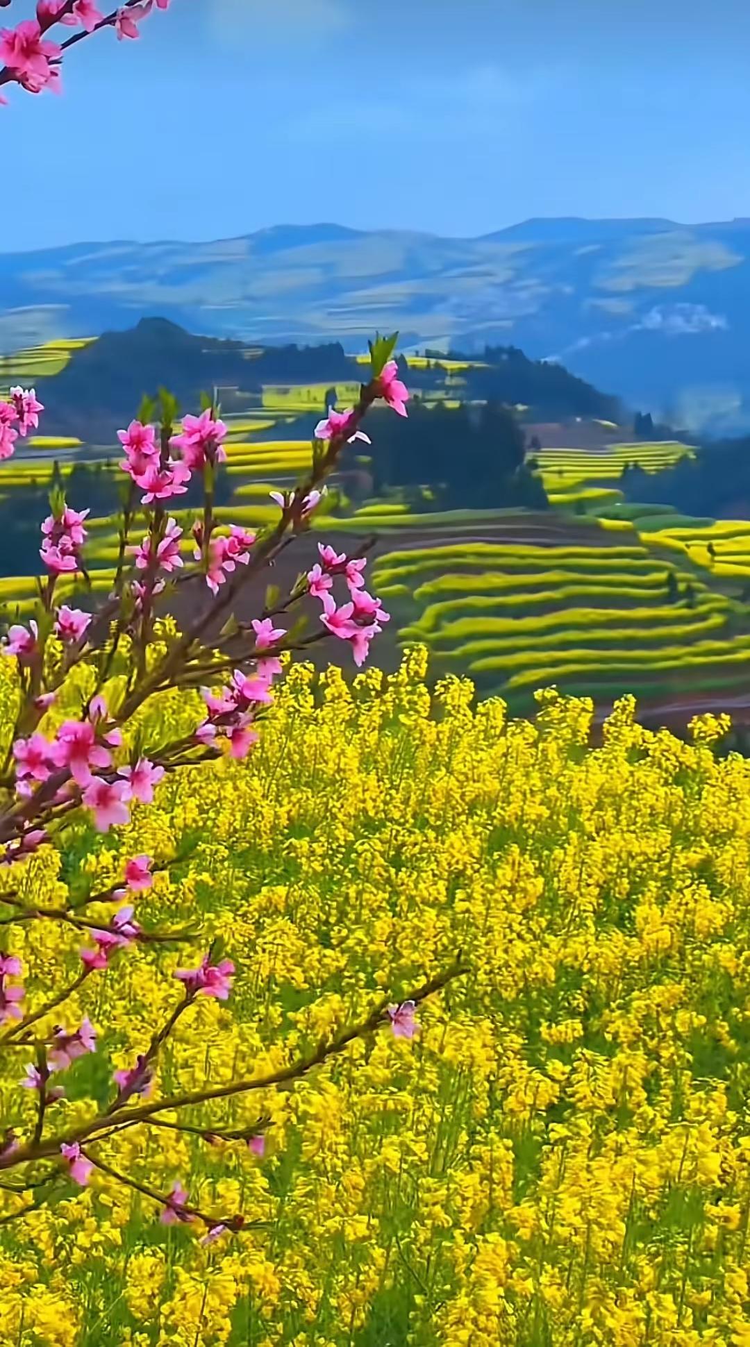 那夜的雨
 
雨是深夜递来的信
没有落款，只有湿冷的字迹
窗玻璃淌成河
流不尽你