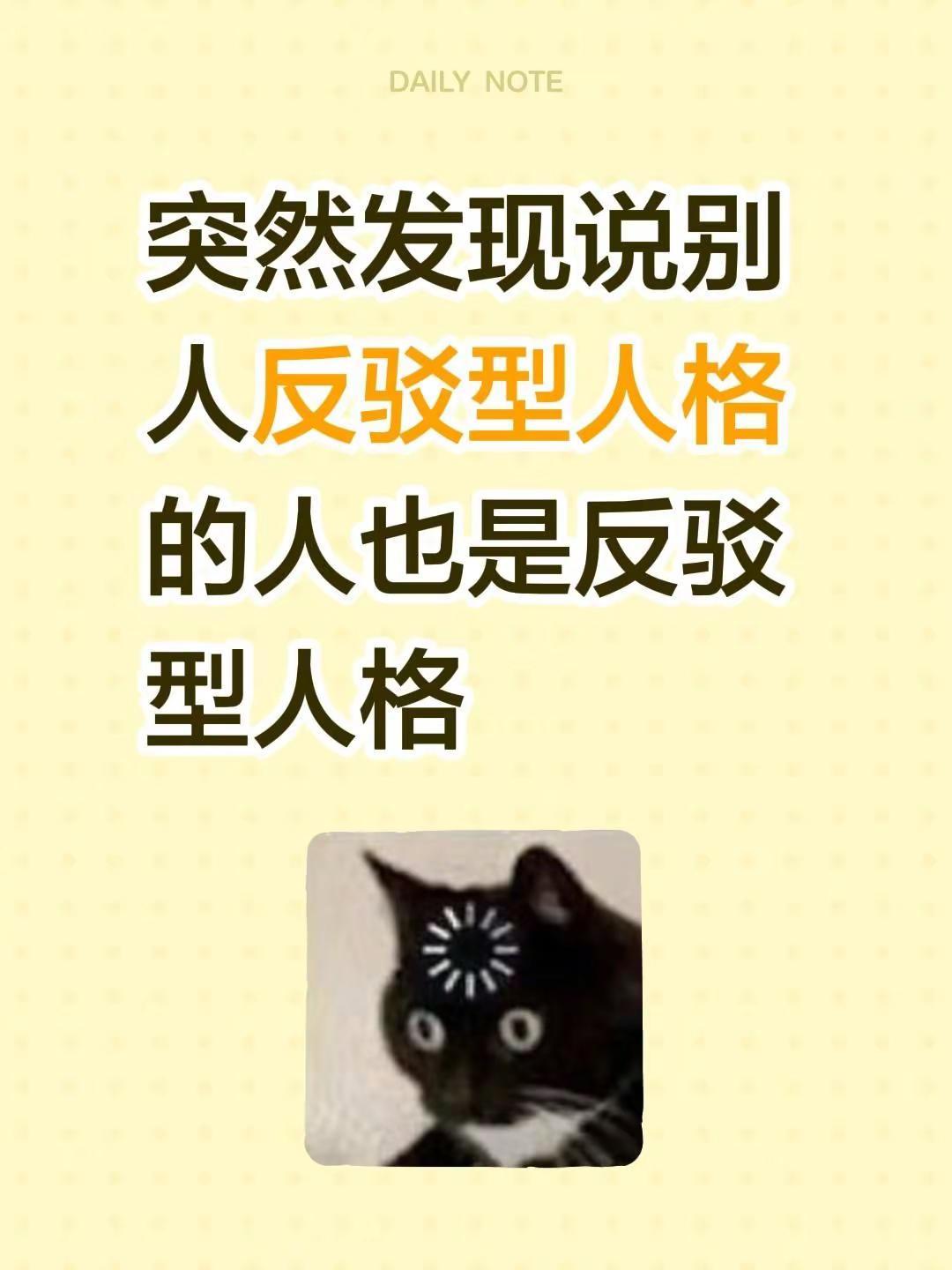 突然发现说别人反驳型人格的人也是反驳型人格