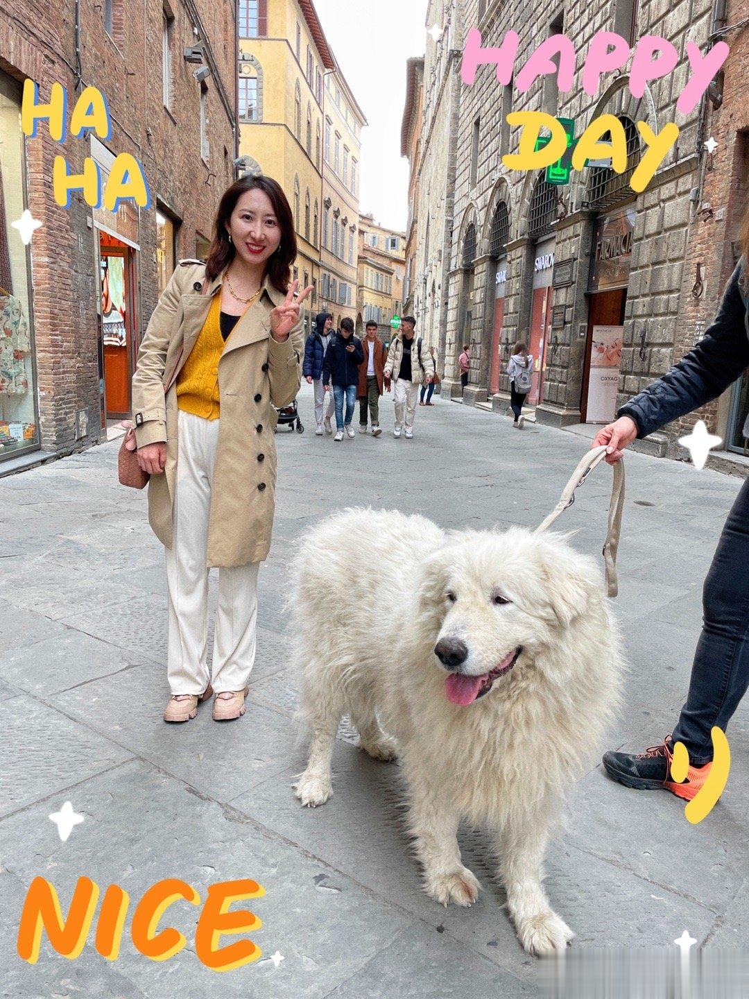 在意大利旅行的时候，路上遇到特别可爱的意大利人出来遛狗，狗狗个头大又非常乖，主人
