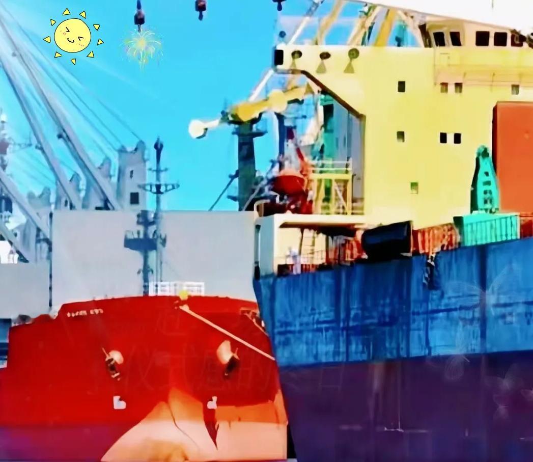 一艘满载6.9万吨巴西大豆运到家门口，被我们原路退回！
 
巴西农业部说了，中国