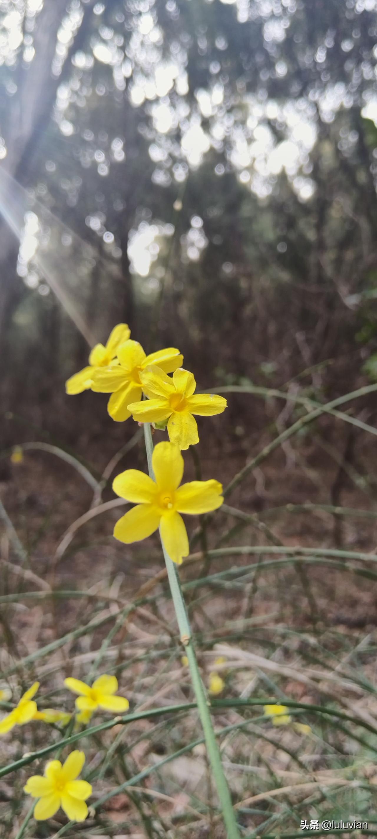 不是工作需要我，而是我需要工作，这是我坚持记账两个月后得出的结论。
虽然工资不过
