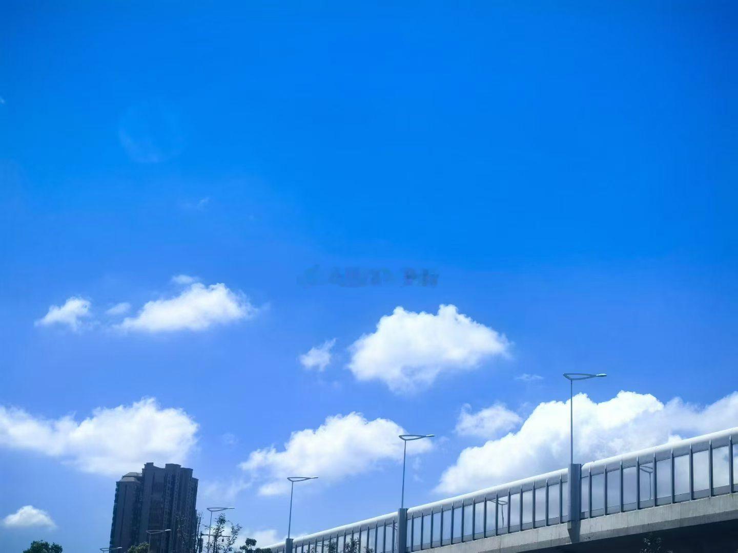 Ni’s Life 2026. 174.🧩日常碎片🧩滴～迟到的随拍打卡🤳顺