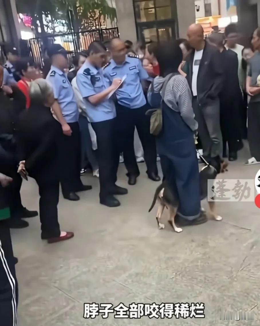 四川眉山狗咬人事件，狗主人犯了三大错误，导致悲剧发生。

第一个错误：遛狗不纤绳