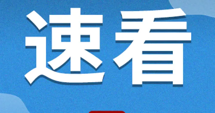 招聘|即刻报名！无笔试！鹤山区招聘15人