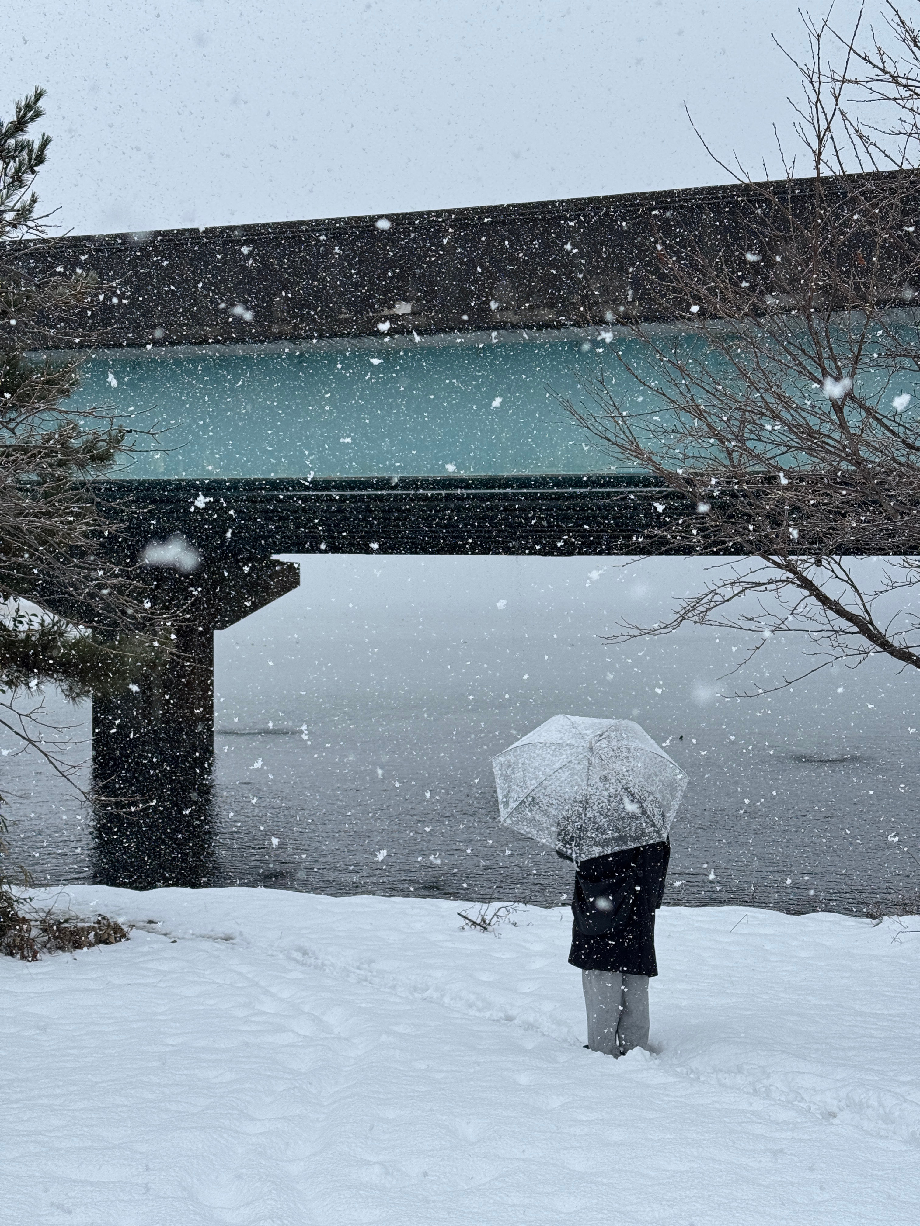 下在春天的雪，就像是一场即将睡醒的晨梦。  