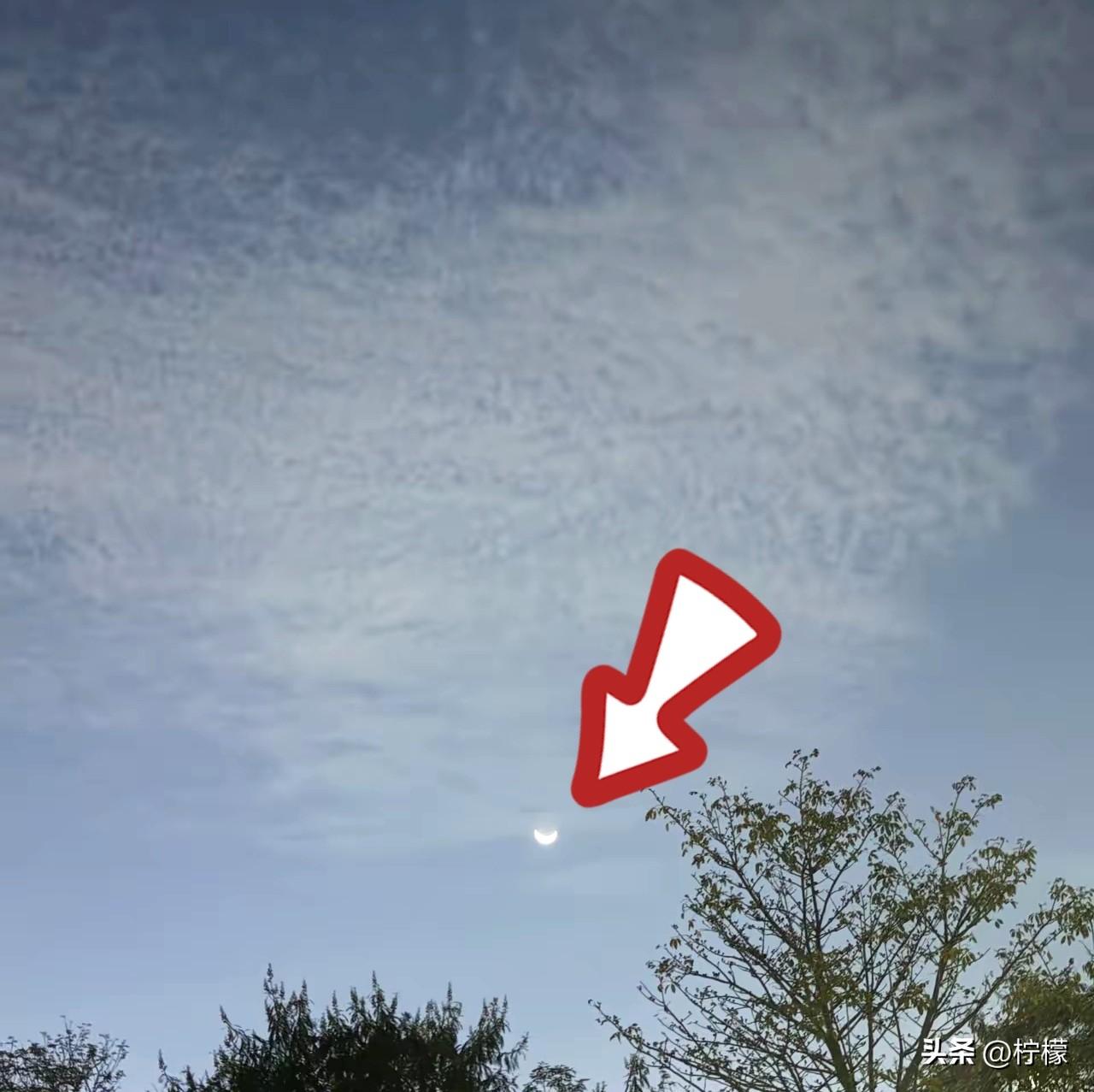 我大姑念佛有大半辈子了，
算下来差不多四五十年。
她屋里一直供着佛龛，每天天不亮