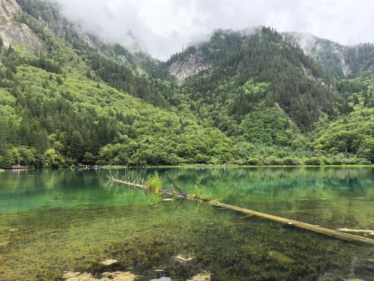 “做一休一，休三隔周”冲上热搜！你敢试吗？

近期，一份“1+3”错峰休息方案引