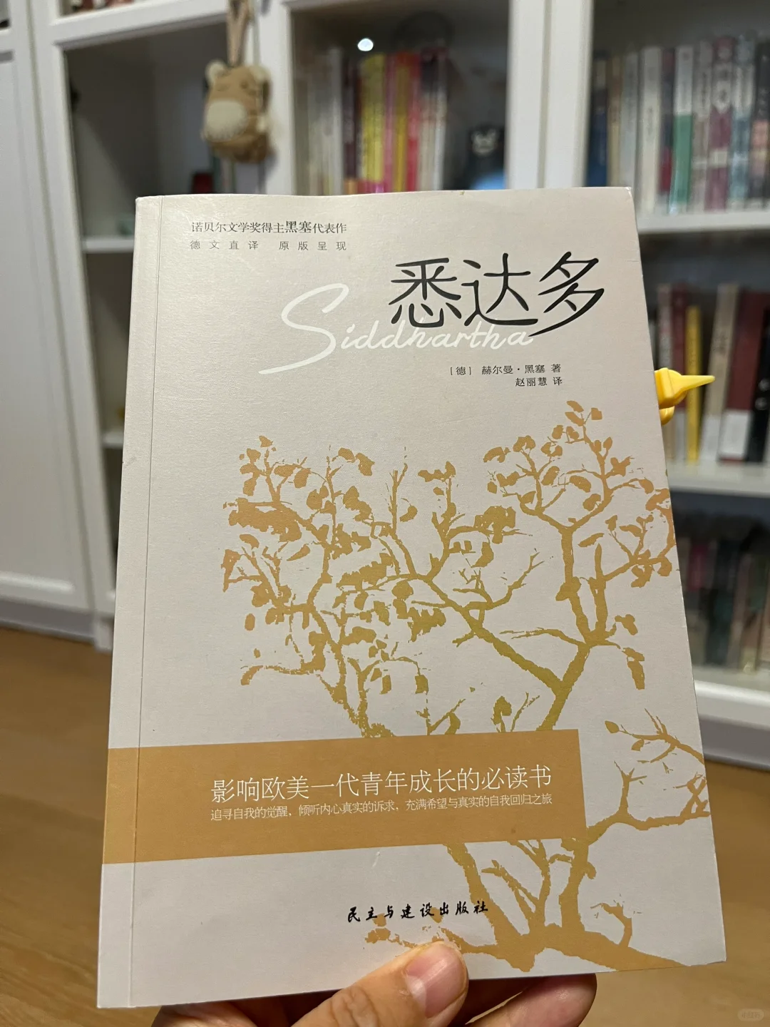 读书笔记～赫尔曼·黑塞《悉达多》