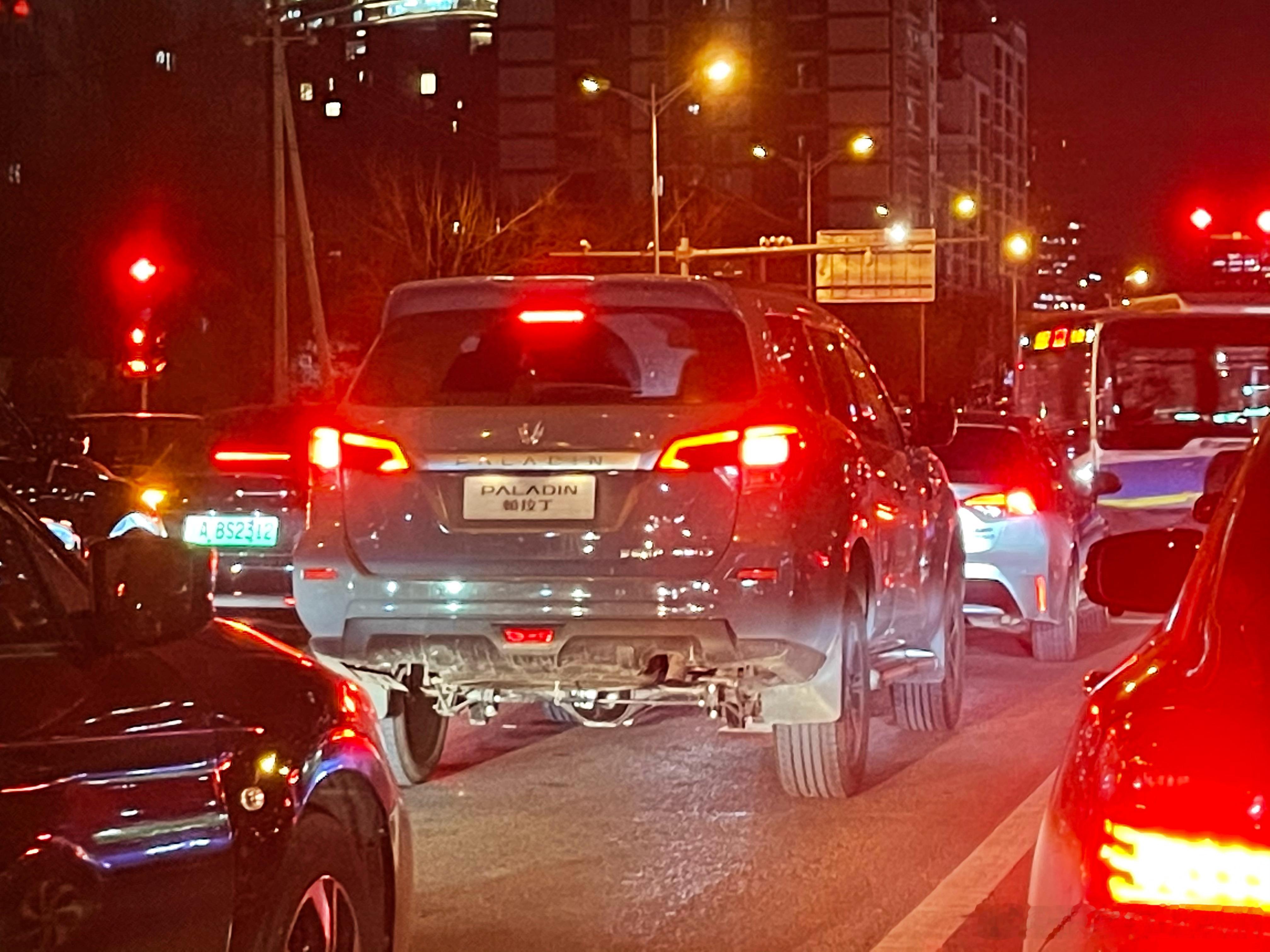 卧槽？途达现在改名叫帕拉丁啦？！[傻眼]#凯文聊车# ​​​