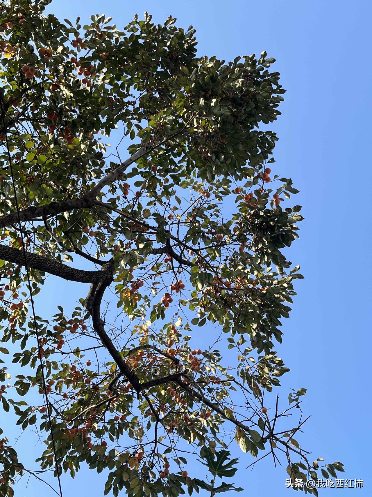 从银行辞职后，我在相亲市场变得“一文不值”
春节回家，几个只有每年春节限定的大家