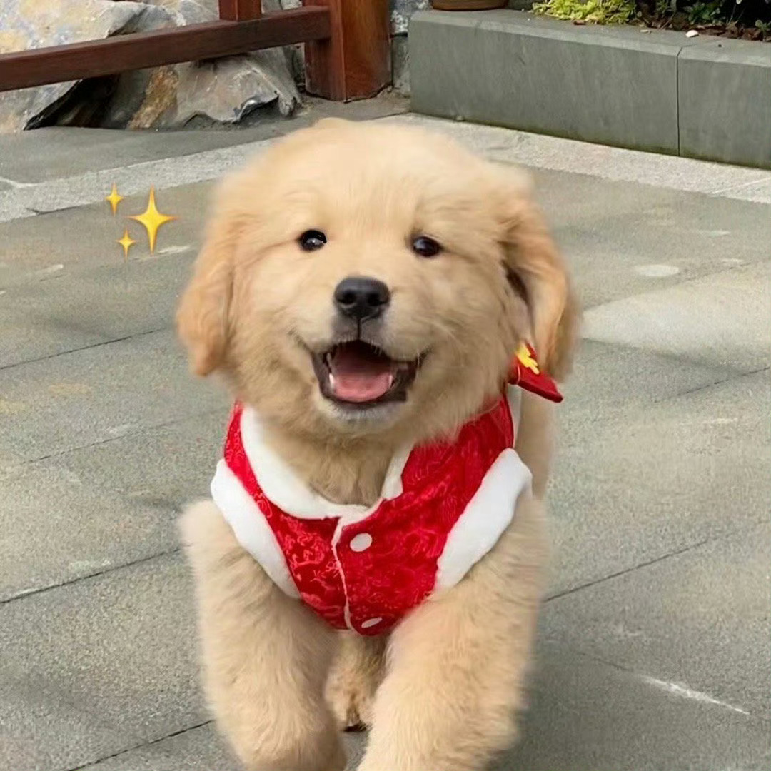 星奶专用实时检测我来看看有没有 ​​​