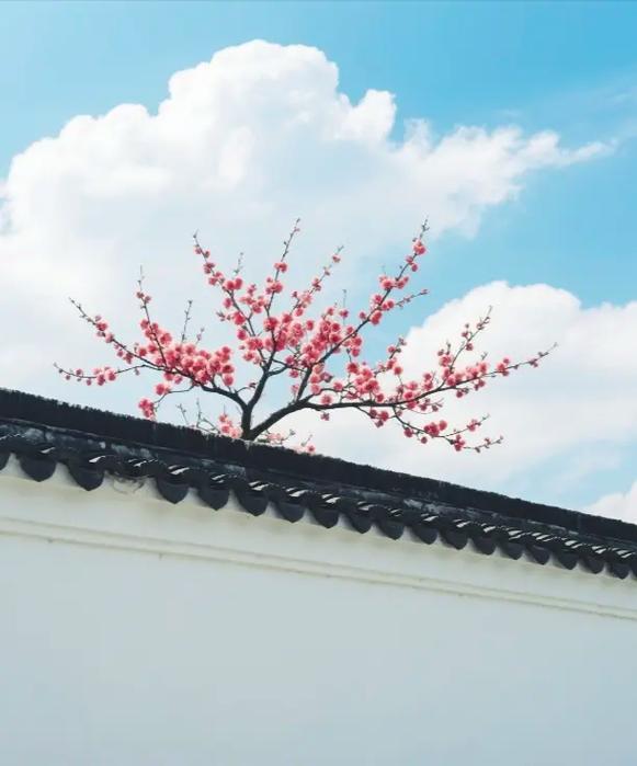 上联：春雨偷情，连累青山带绿帽
下联：和风重色，招引红杏出白墙