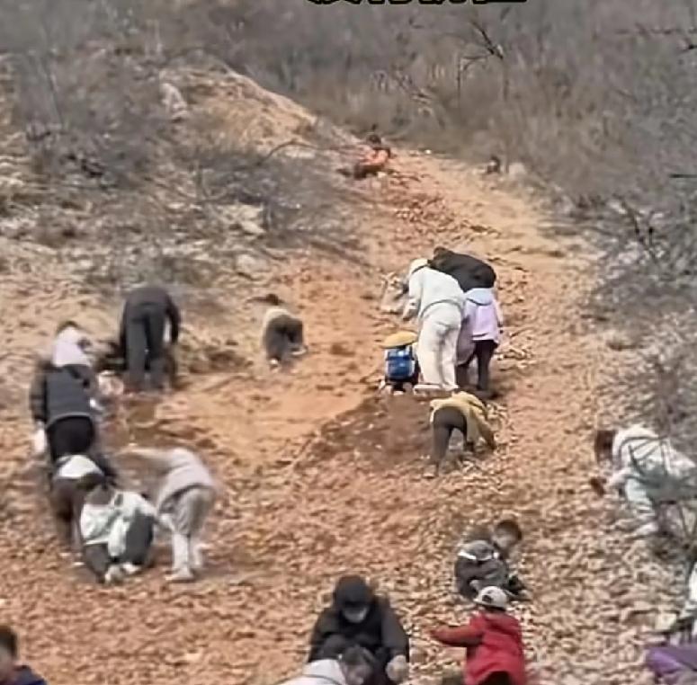 这几天，河南郑州新密市来了很多人，目的只有一个，就是听说这里面可以挖到好东西
不