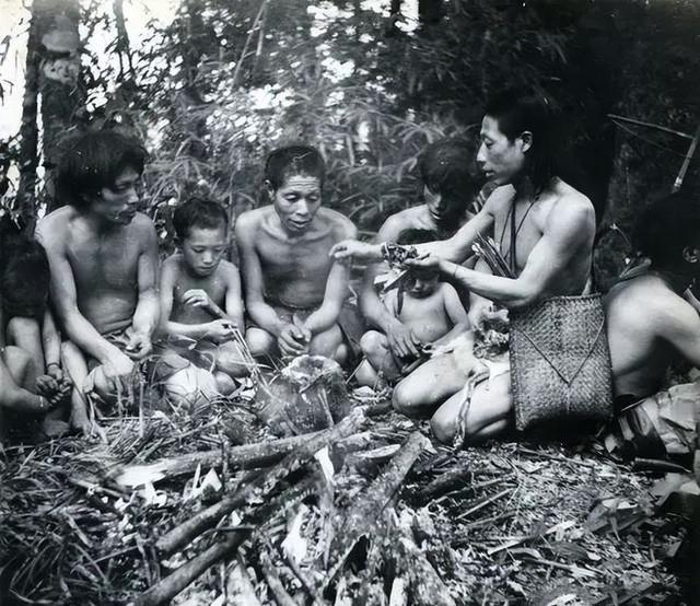 1956年，部队在云南原始森林深处，发现一群衣不蔽体、蓬头垢面的男男女女。经过调