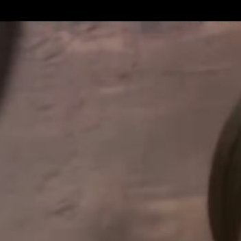 0000新的时光里，让我们珍惜所有的不期而遇，也看淡所有的不辞而别。在心里种花，