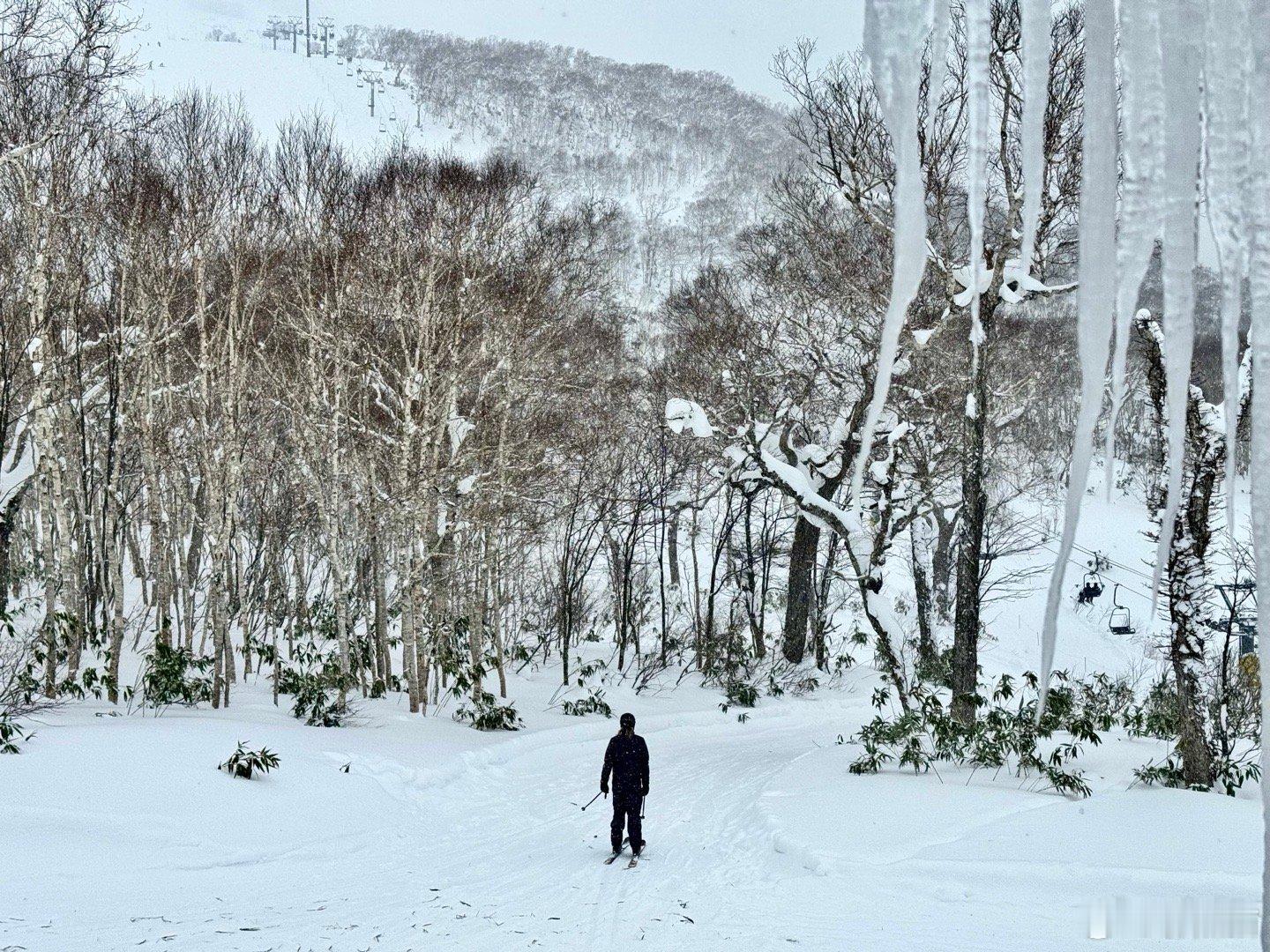 这几年的雪季跑了好多雪场，日本的欧洲的加拿大的，发现还是咱们禾木的雪好，吉克普林