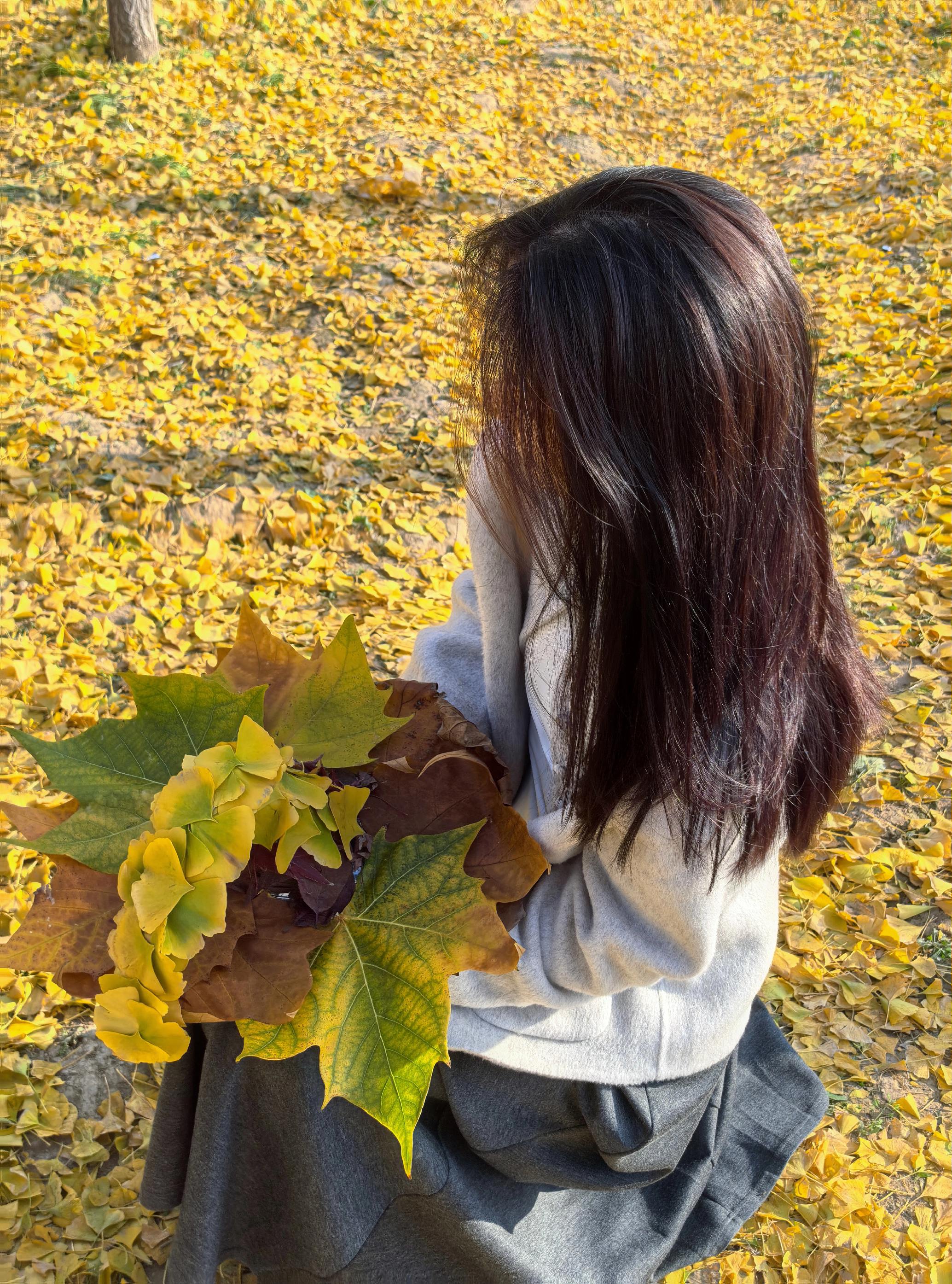 在这个落叶像雪的季节  想你时风起  单依纯  银杏黄了