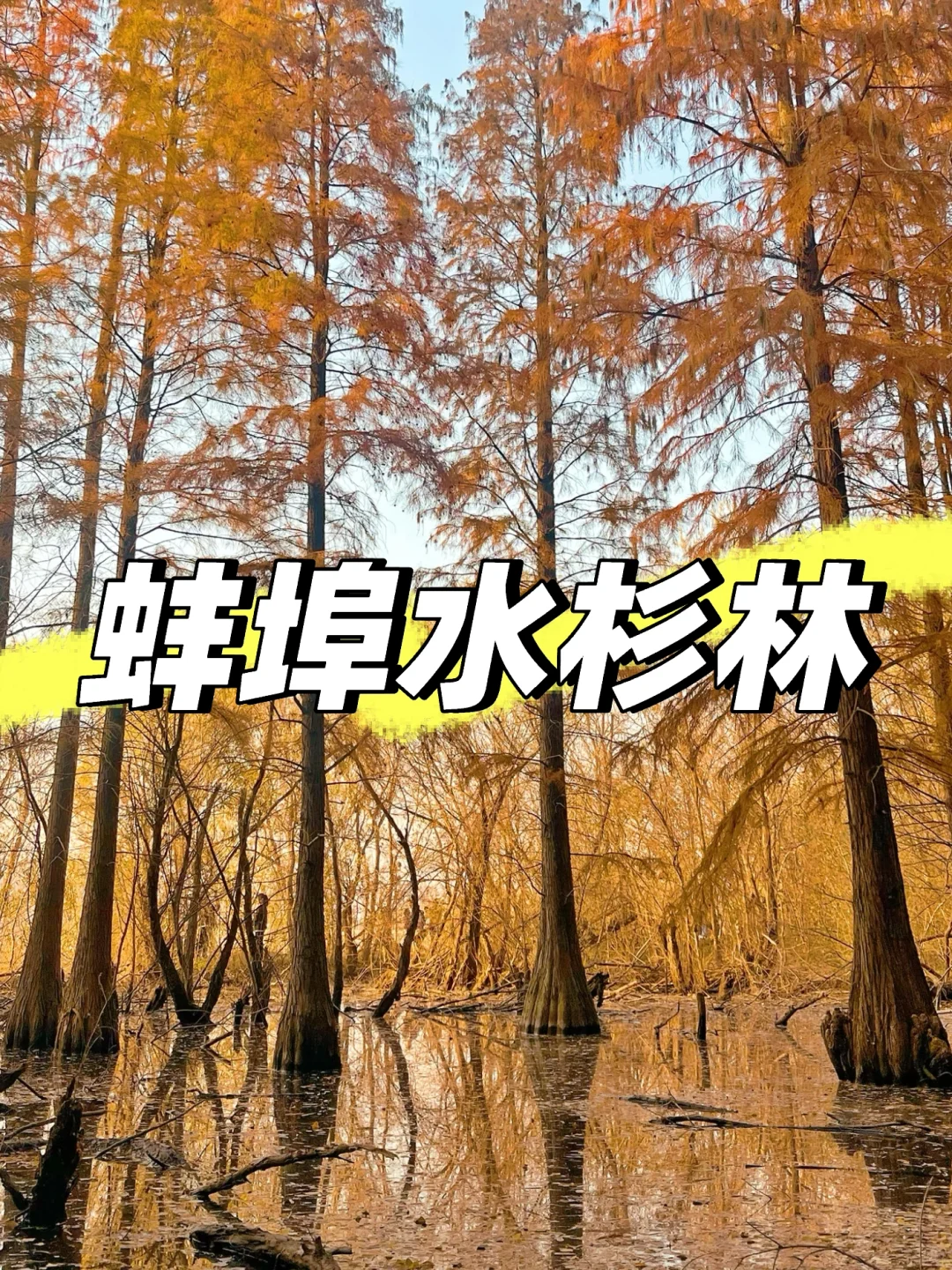 又到了这里打卡拍照的时候了
