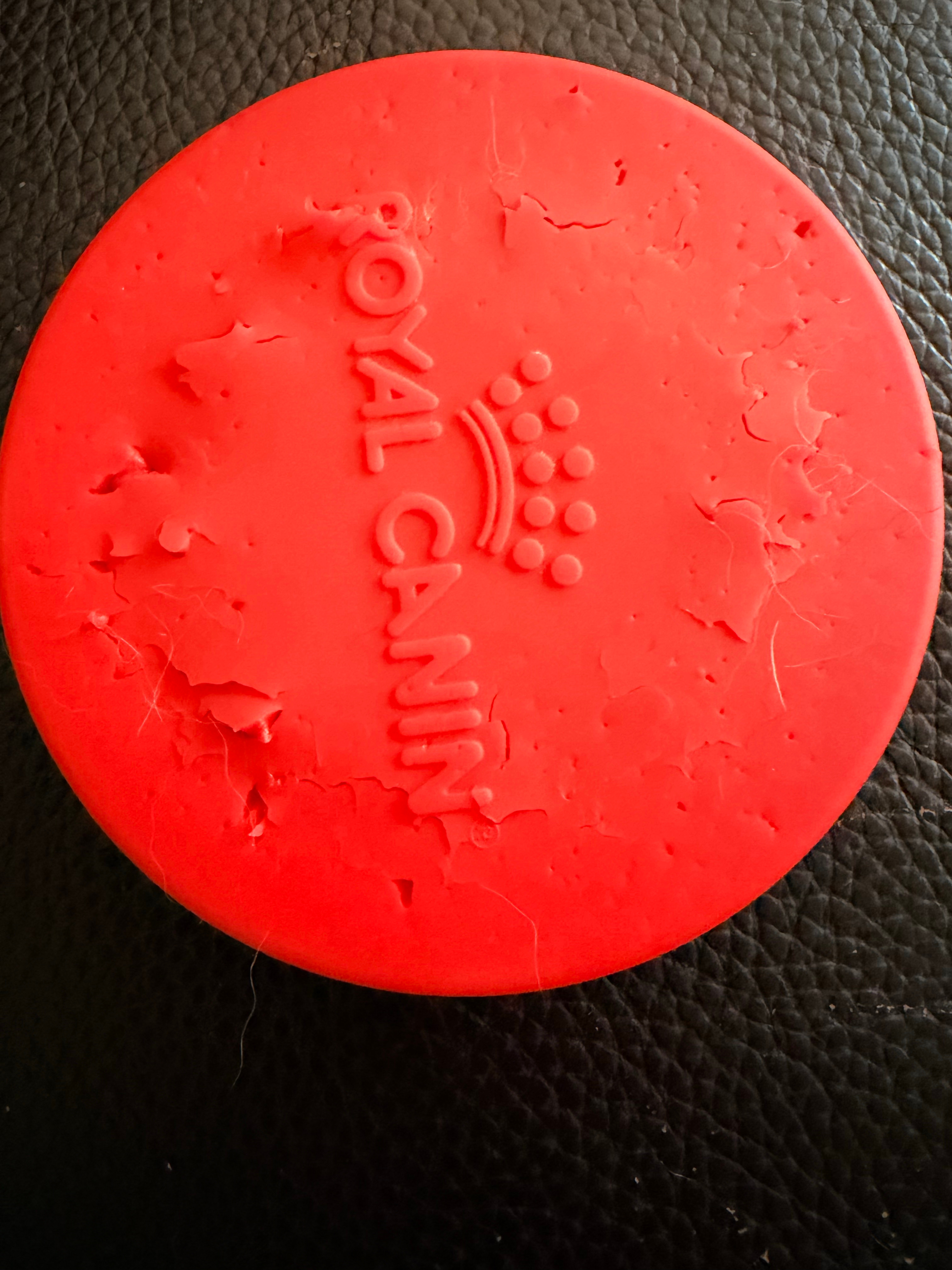 这欠牛不光是皮痒……这牙也痒啊一不留神罐头盖就被咬成这样了