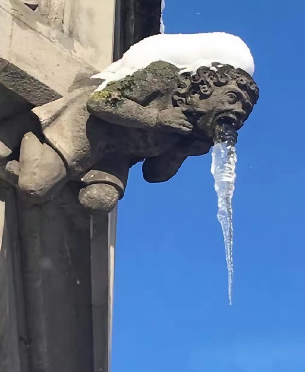 挺有寓意！
古建筑物上的神明头像，还是古希腊神话中的传说，身背皑皑雪山，口吐莲花