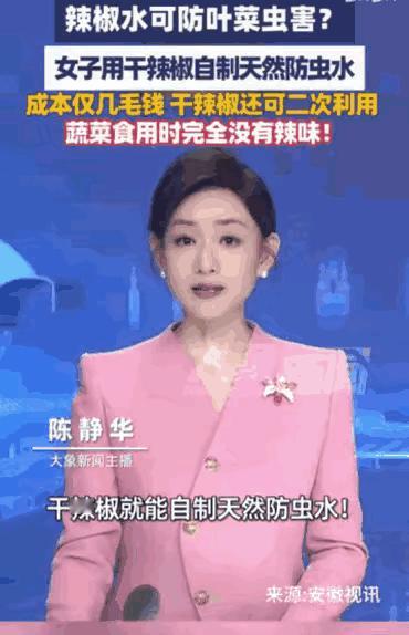 河北石家庄的李女士在家里种菜，遭虫害两年半了。她用各种民间偏方驱虫，都没见效。李