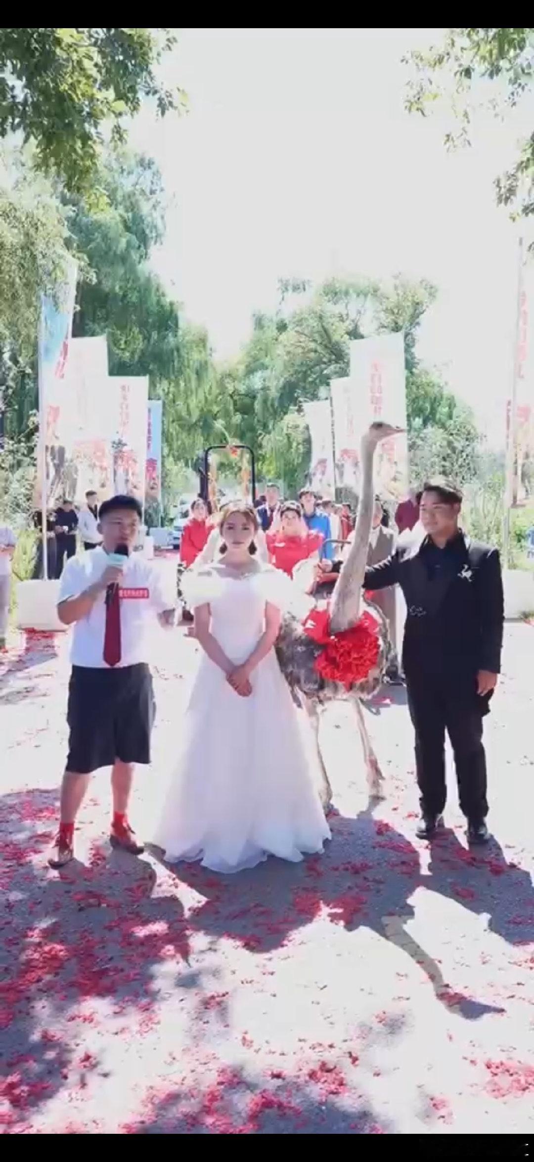 心雨鸵鸟为银发老人补办集体婚礼心雨鸵鸟婚礼现场处处都是浪漫氛围感，网红云集祝福不