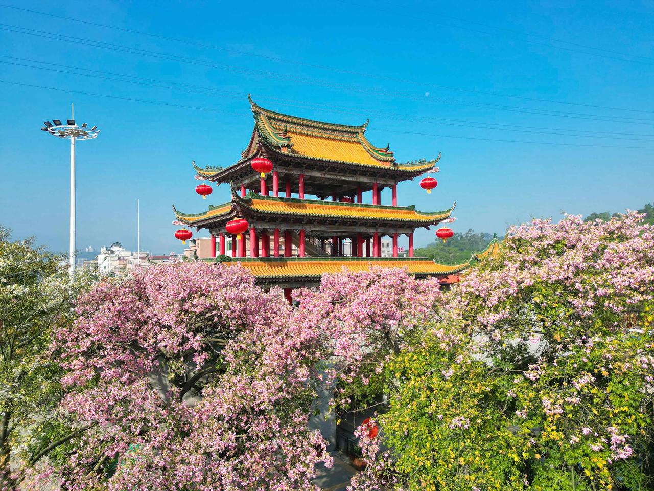 东莞人年末必冲！东莞观音山登高迎新，许愿接福，讨个新年好彩头！ 
大家年初在东莞